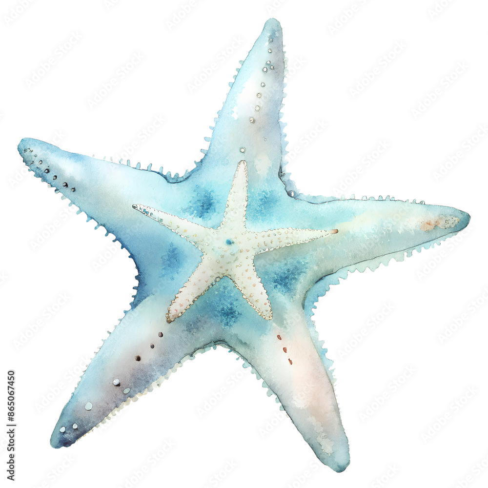 Starfish PNG Photo Overlays and Backgrounds - Realistic High-Quality Marine Life Images for Creative Projects, Perfect for Designers and Artists. AI generated. Starfish PNG Photo Overlays and Backgrounds - Realistic High-Quality Marine Life Images for Creative Projects, Perfect for Designers and Artists. AI generated.