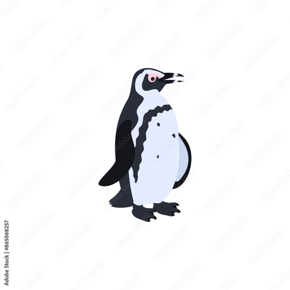 Obraz premium ケープペンギン（アフリカペンギン）。フラットなベクターイラスト。 African penguin. Flat vector illustration.