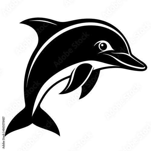 A black and white dolphin jumps out of the water gracefully