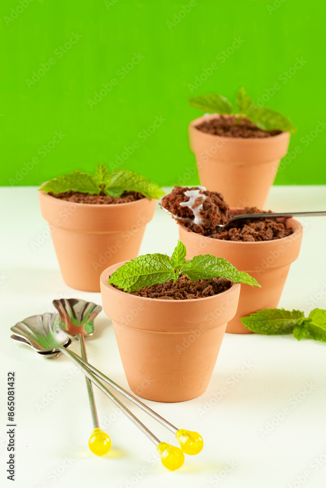 Dessert in the form of a pot with soil (crumbled cake) and mint... Dessert in the form of a pot with soil (crumbled cake) and mint...