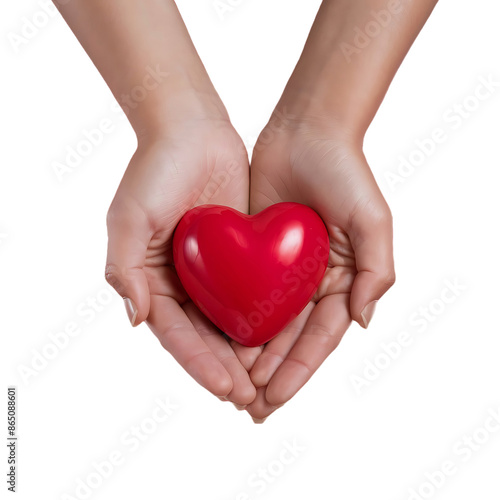 Hands holding heart world organ donation day 2024 transparent isolated background full hd 4k photo image picture png download