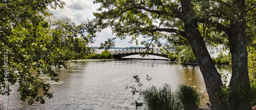 a long winding brown wooden bridge over water surrounded by lush green trees and plants with a clear blue sky at The vasteras ctity in sweden photo