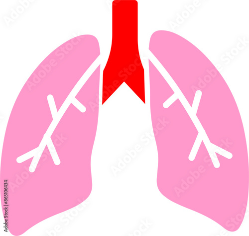 Lungs Vector Icon