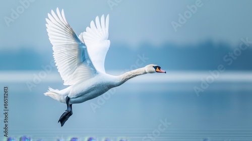 Fototapeta Naklejka Na Ścianę i Meble -  A graceful swan with its wings outstretched, against a serene blue background.