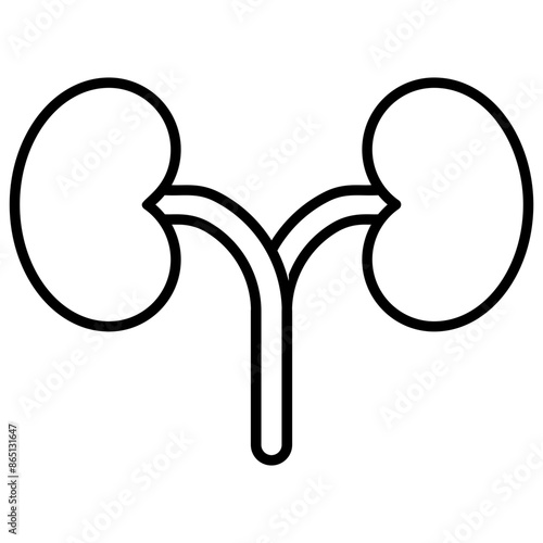 Kidney