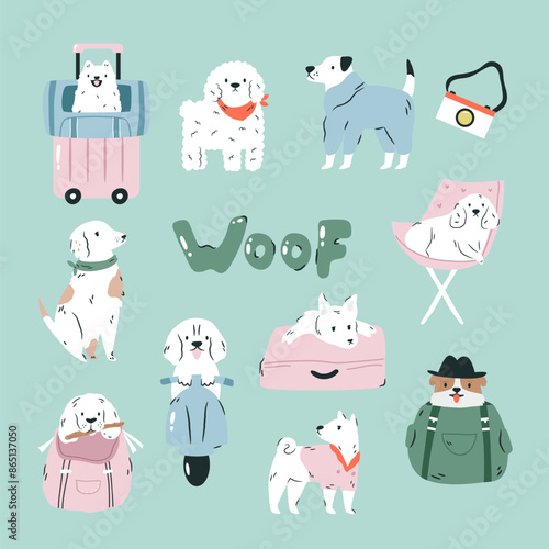Set of different dogs ready for travelling, adventures. Hand drawn illustrations of pets in different poses, actions. Vacation, journey vibe.