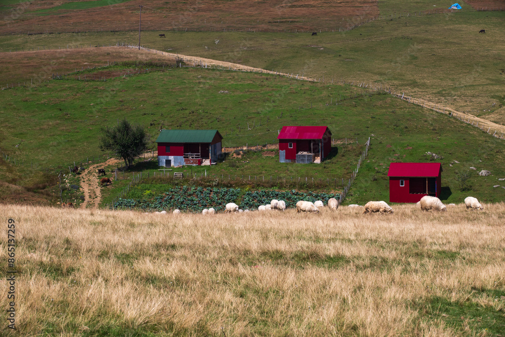 Fototapeta premium View of plateau houses. Giresun, Türkiye