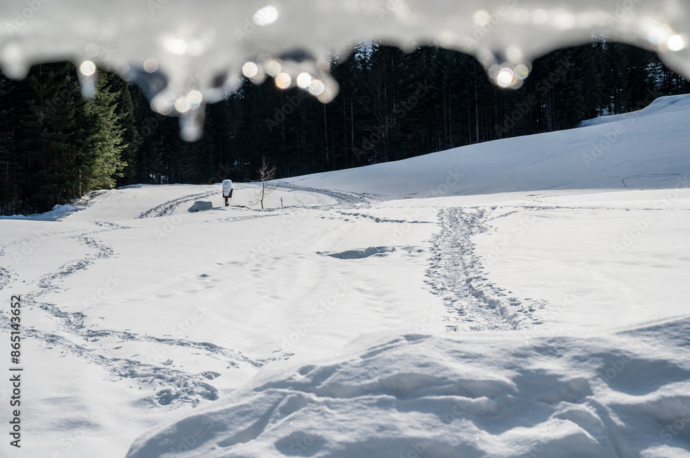 The wild Riofreddo Valley nestled in the Julian Alps. The wild Riofreddo Valley nestled in the Julian Alps.