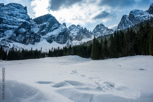 The wild Riofreddo Valley nestled in the Julian Alps. photo