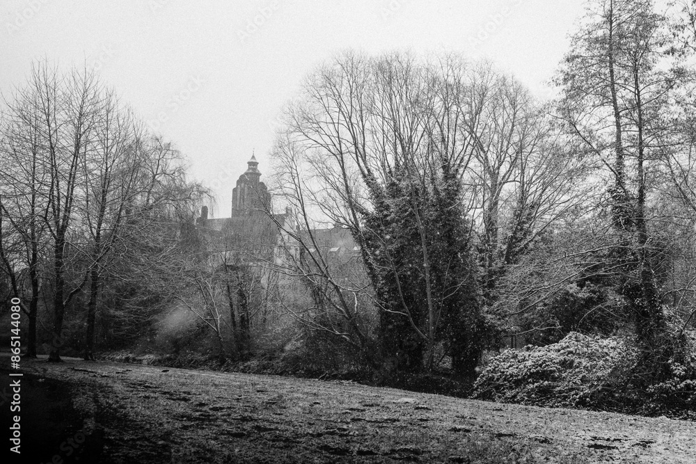 Fototapeta premium Church Spire Amongst Snow-Covered Trees