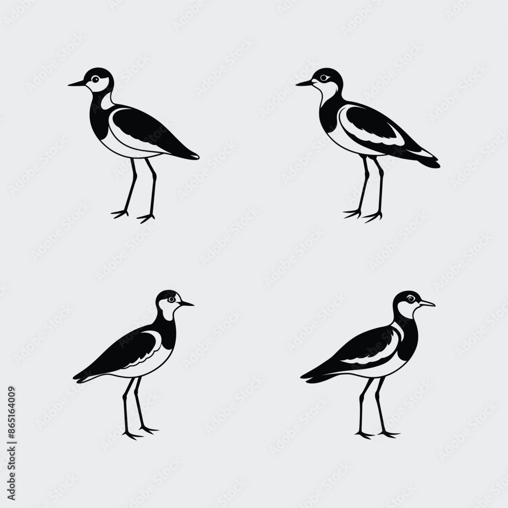 Fototapeta premium The Bird name is Lapwing silhouette vector art illustration