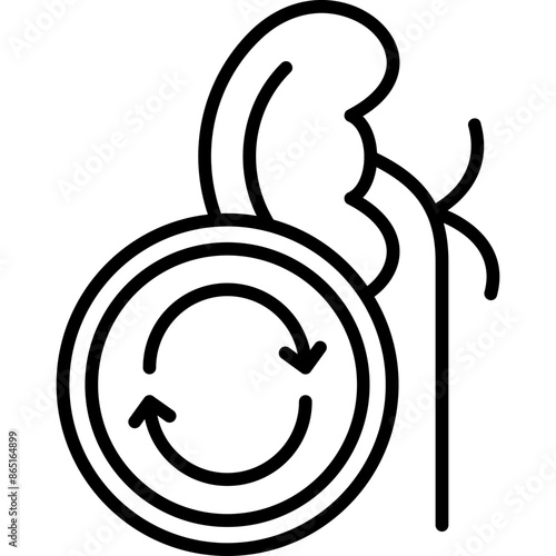 Kidney Transplant Icon