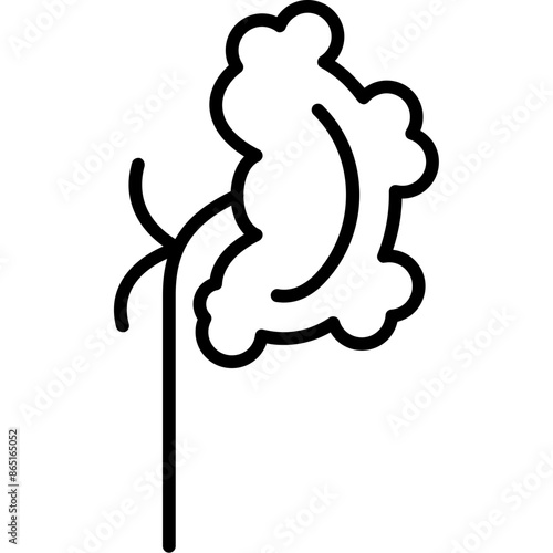 Pyelonephritis Icon