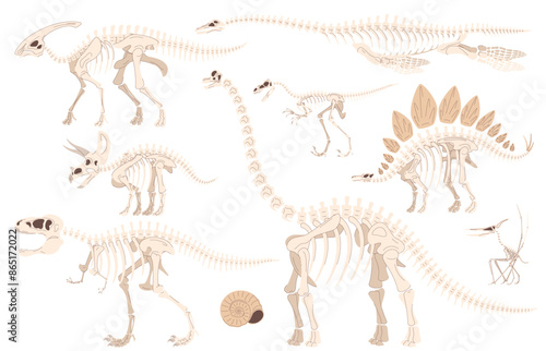 Skeleton of carnivorous and herbivorous foot-and-mouth disease. Archaeological excavations of dinosaur fossils. Studies of ancient animals. Vector illustration on a white background.
