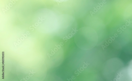 Nature bokeh blur abstract background. Sunlight bokeh on green leaf tree foliage, blurred leaves forest sunny day in spring or summer © merrymuuu