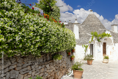 Obraz na płótnie Trulli houses, traditional, unique Apulian dry stone hut with a conical roof, Alberobello, Italy w salonie
