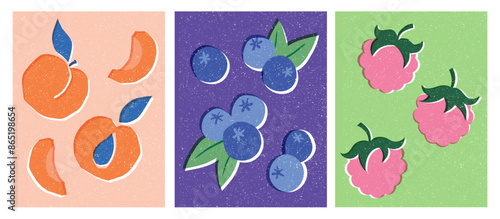 Peaches or Apricots, Blueberries and Respberries Vector illustration posters