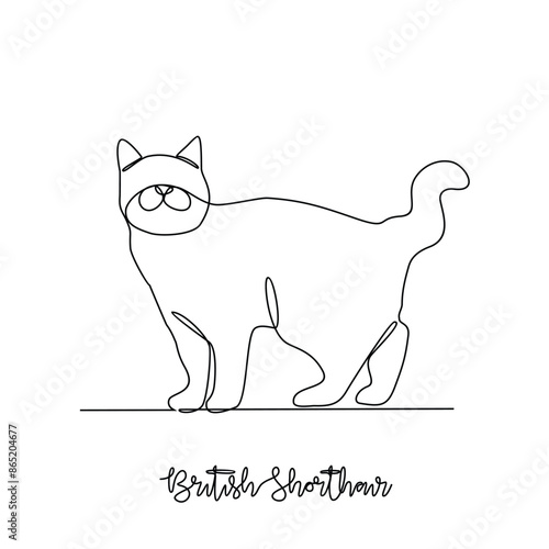 One continuous line drawing of British shorthair vector illustration. Type of Cat theme design concept with simple linear style vector. Cat are domesticated mammals, loyalty and companionship to human