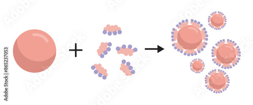 Fat emulsification by bile