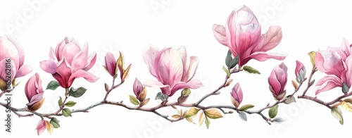 A collection of watercolor white magnolia flower and leaf bouquet cliparts, isolated on a white background, stock © Mark