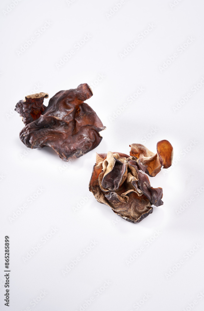 Close up of wild dried black fungus on white background Close up of wild dried black fungus on white background