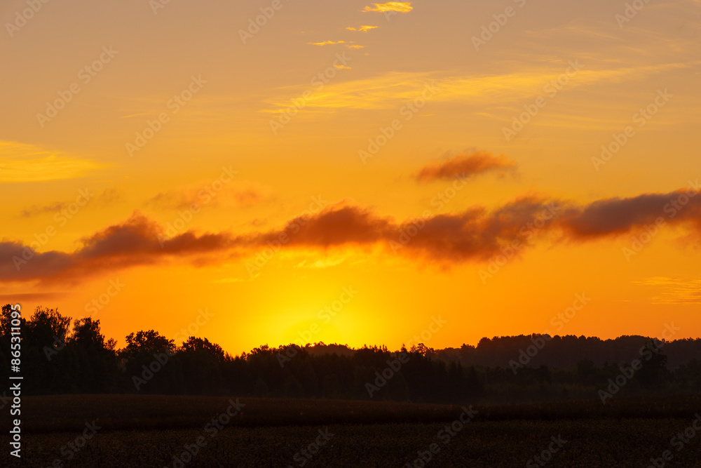Obraz premium A beautiful summer sunrise over the crop field. Natural morning landscape of rural Latvia, Northern Europe.