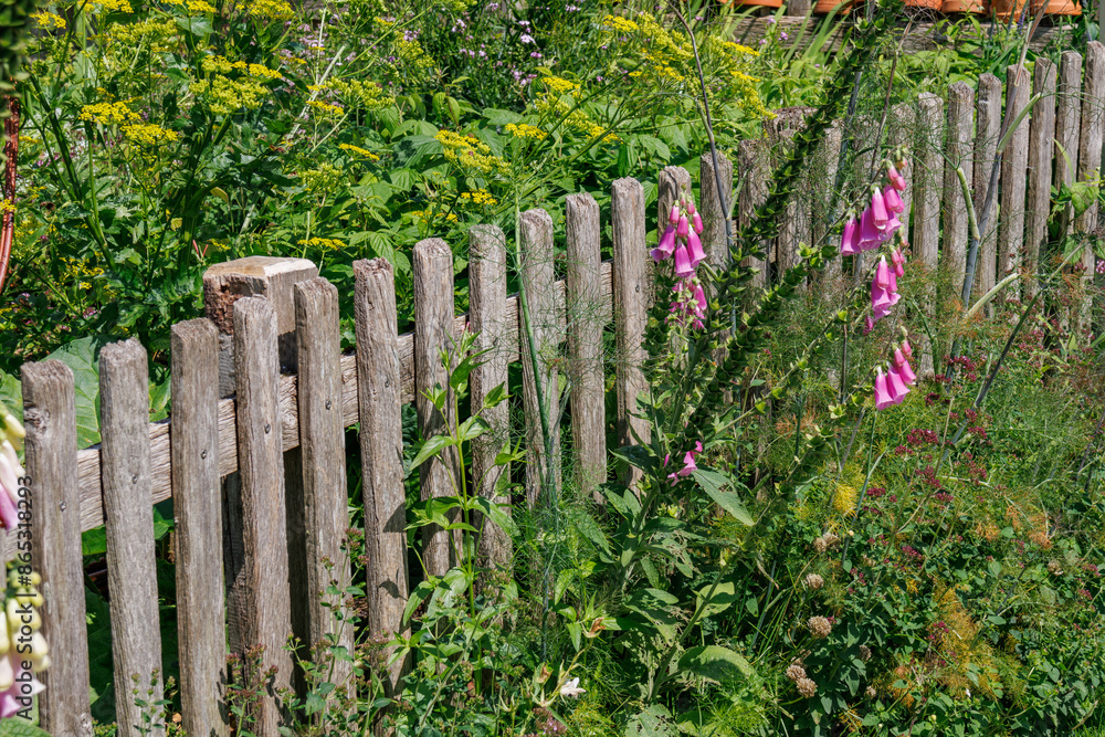 Fototapeta premium Sommer im Park
