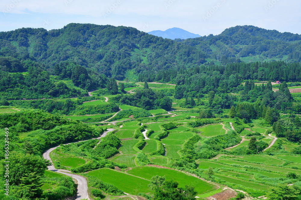 Fototapeta premium 星峠の棚田（新潟県）