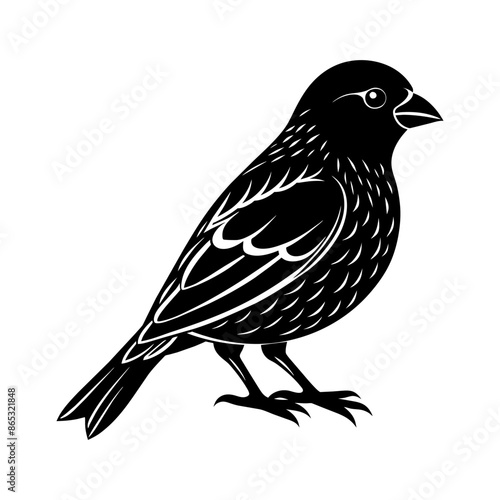 A Canary Bird Silhouette