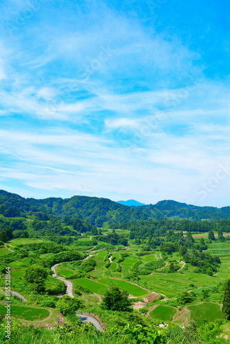 Obraz na plátně 星峠の棚田（新潟県）