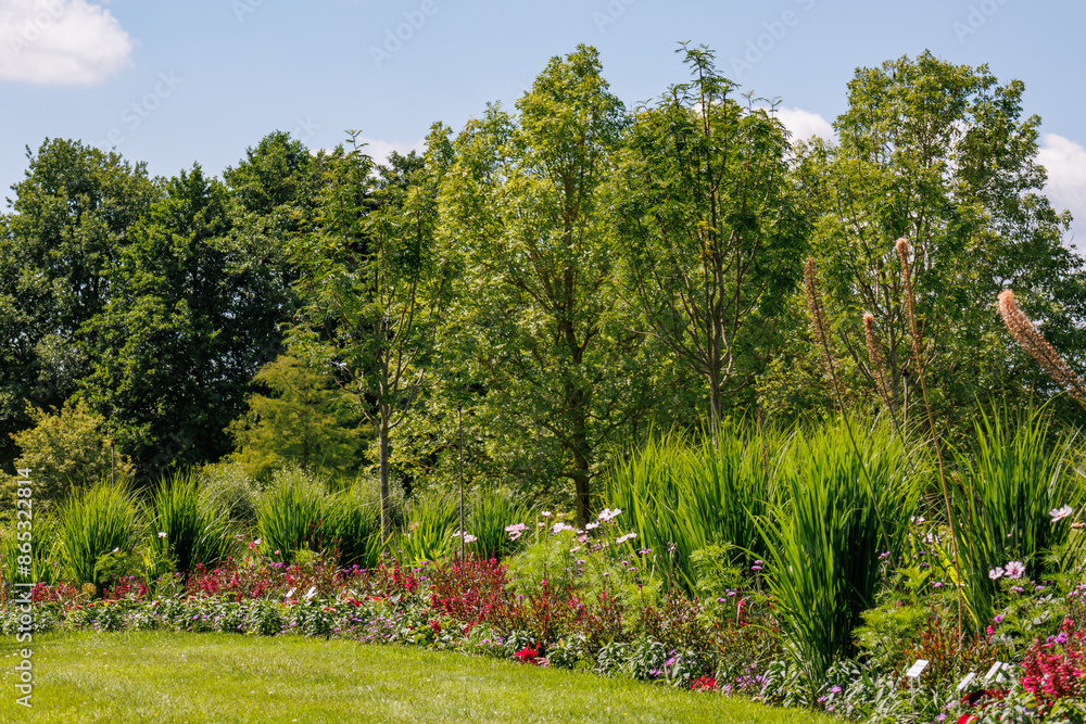 Obraz premium Sommer im Park