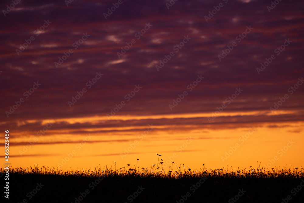 Fototapeta premium A beautiful summer sunrise in rural Latvia. Bright morning sky with dark foreground.