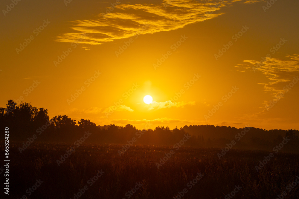 Fototapeta premium A beautiful tree silhouettes against the colorful sunrise sky. Natural summer scenery of rural Latvia, Northern Europe.