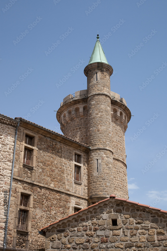Obraz premium Une partie du château de Pélussin (Loire)
