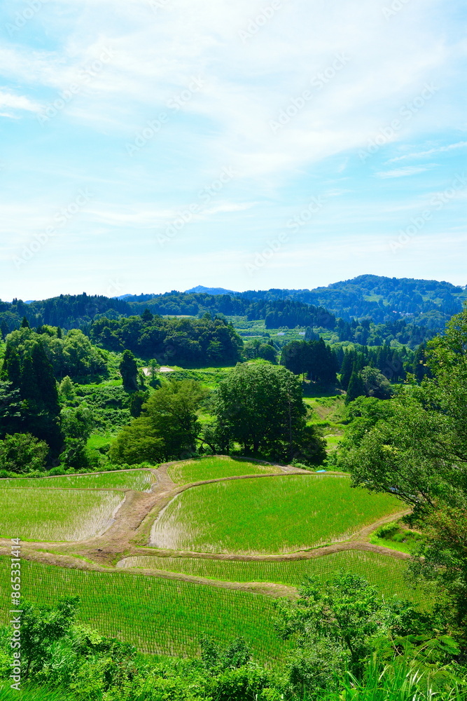 儀明の棚田(新潟県) 儀明の棚田(新潟県)