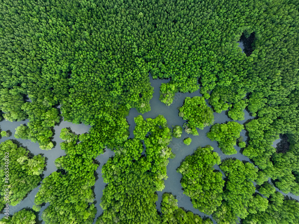 View from above, aerial shot, stunning view of Ao Phang Nga (Phang Nga Bay) National Park with a river flowing through a mangrove forest Thailand.