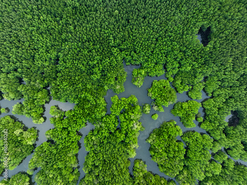 Obraz na płótnie View from above, aerial shot, stunning view of Ao Phang Nga (Phang Nga Bay) National Park with a river flowing through a mangrove forest Thailand. w salonie