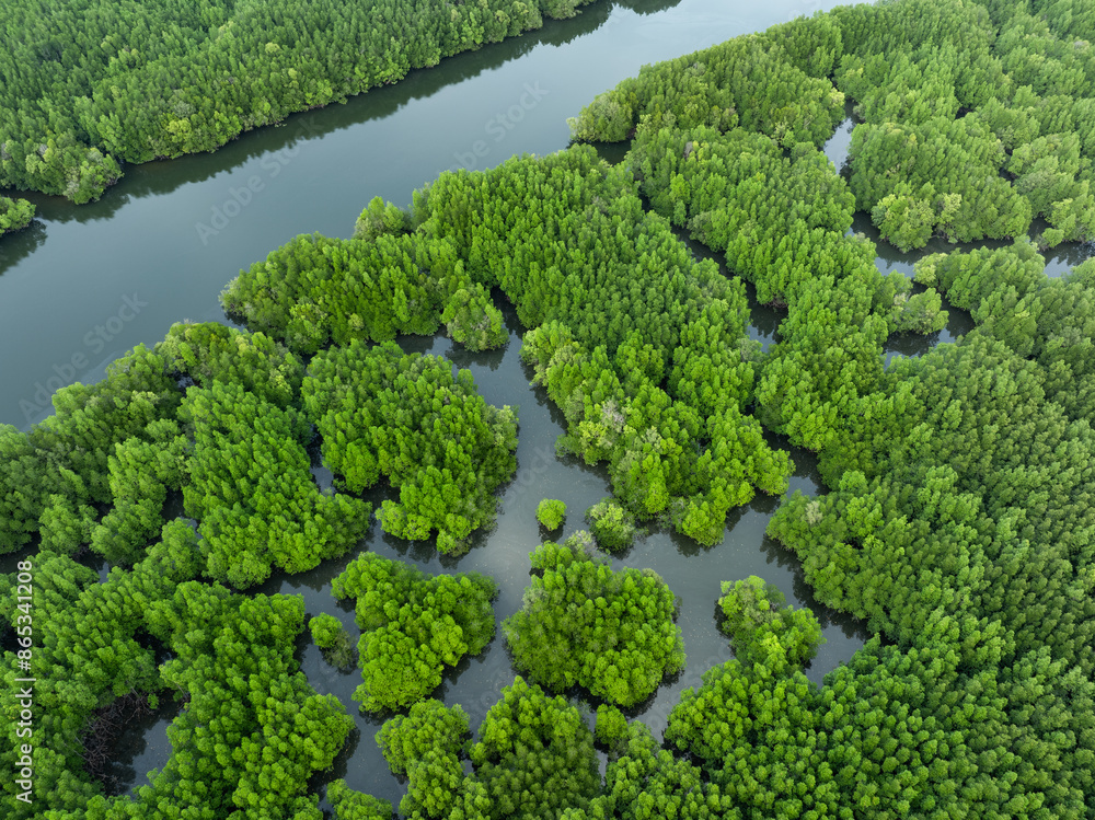 View from above, aerial shot, stunning view of Ao Phang Nga (Phang Nga Bay) National Park with a river flowing through a mangrove forest Thailand.
