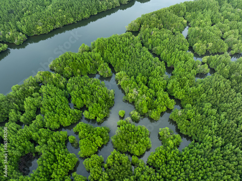 Obraz na płótnie View from above, aerial shot, stunning view of Ao Phang Nga (Phang Nga Bay) National Park with a river flowing through a mangrove forest Thailand. w salonie