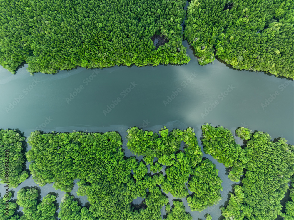 View from above, aerial shot, stunning view of Ao Phang Nga (Phang Nga Bay) National Park with a river flowing through a mangrove forest Thailand.