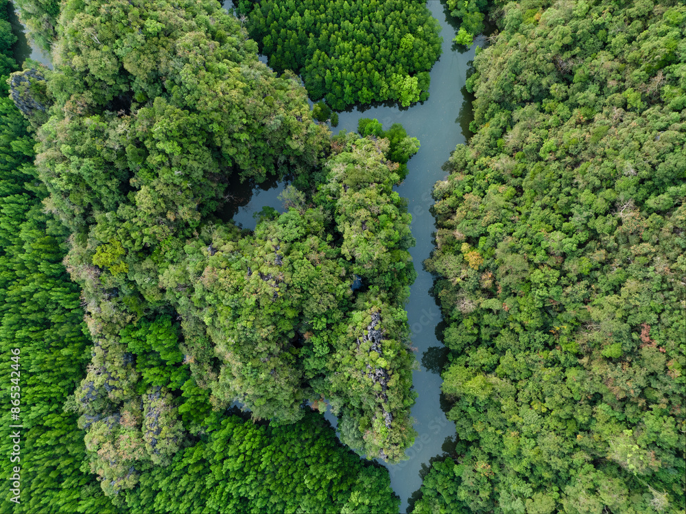 View from above, aerial shot, stunning view of Ao Phang Nga (Phang Nga Bay) National Park with a river flowing through a mangrove forest Thailand.