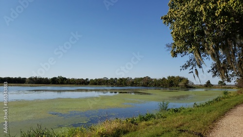 Fotografie Brazos Bend State Park, Texas
