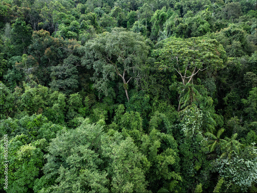 Obraz na płótnie View from above, stunning aerial view of a rainforest. Khao Sok National Park, Thailand. w salonie