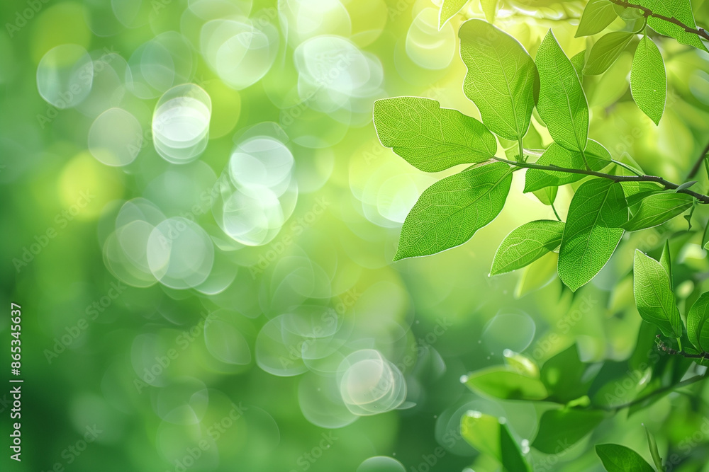 Blurred green nature background with bokeh effect, soft focus, and defocused light in a spring forest. Perfect for nature-themed projects, calming visuals, wellness content, and seasonal promotions. Blurred green nature background with bokeh effect, soft focus, and defocused light in a spring forest. Perfect for nature-themed projects, calming visuals, wellness content, and seasonal promotions.