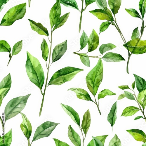 Green leaves isolated on white background in watercolor.