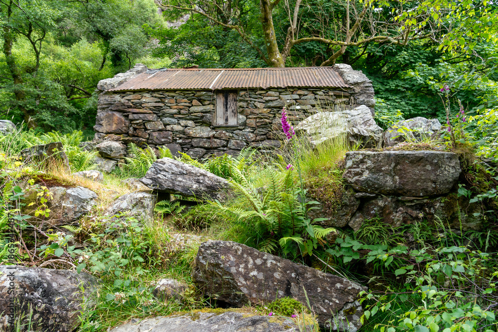 walking the Aberglaslyn Pass in North Wales walking the Aberglaslyn Pass in North Wales