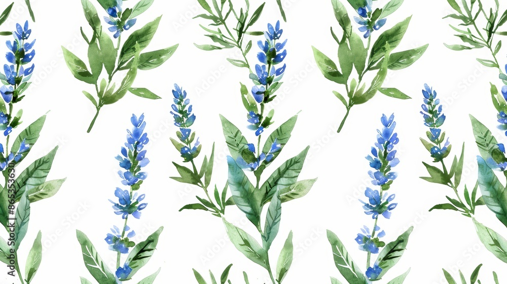 Fototapeta premium It is a seamless pattern in watercolor of blue vervain that has been hand drawn.