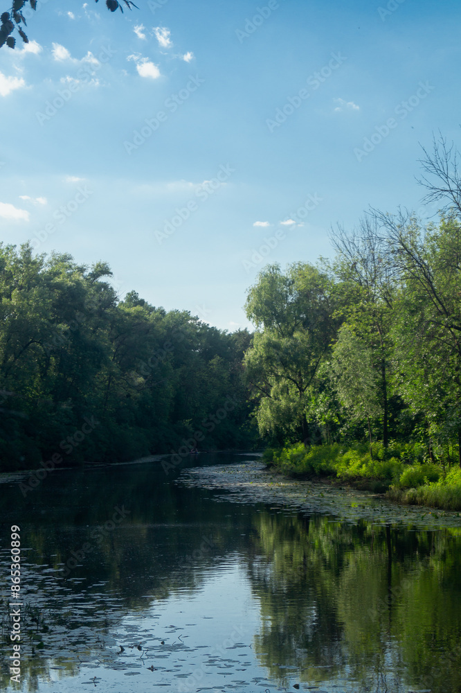 River flows along banks with grass and green trees at sunset. River and trees landscape River flows along banks with grass and green trees at sunset. River and trees landscape
