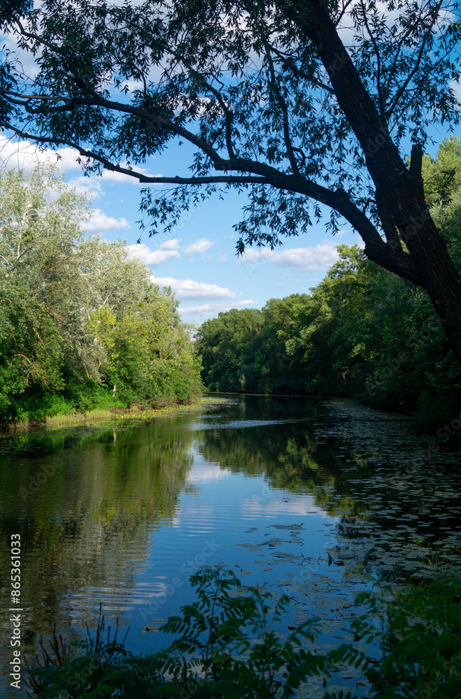 River flows along banks with grass and green trees at sunset. River and trees landscape River flows along banks with grass and green trees at sunset. River and trees landscape