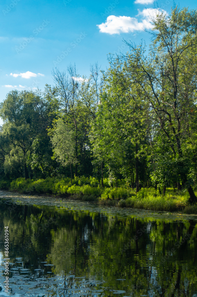 River flows along banks with grass and green trees at sunset. River and trees landscape River flows along banks with grass and green trees at sunset. River and trees landscape